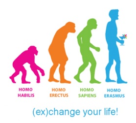 l'evoluzione della specie fino all'homo erasmus